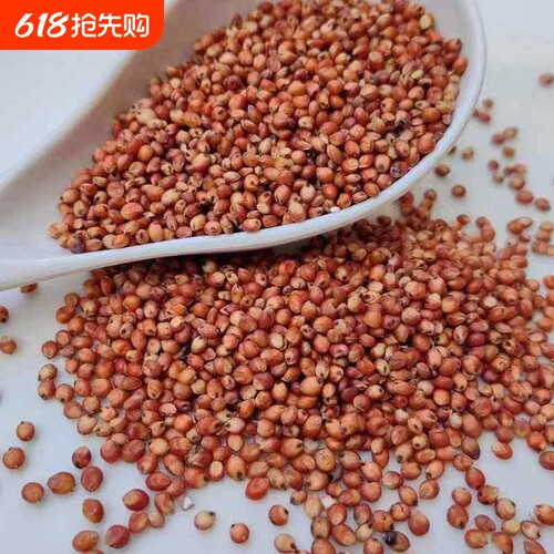 酿酒高粱带皮红高粱未脱皮