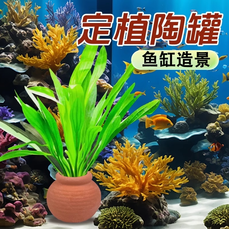 陶罐固定水草用鱼缸造景装饰摆件定植沉底环草杯