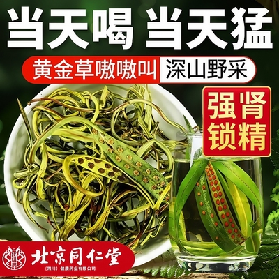 黄金草北京同仁堂肾精茶肾经草野生长白山嗷嗷叫化石草官方旗舰店