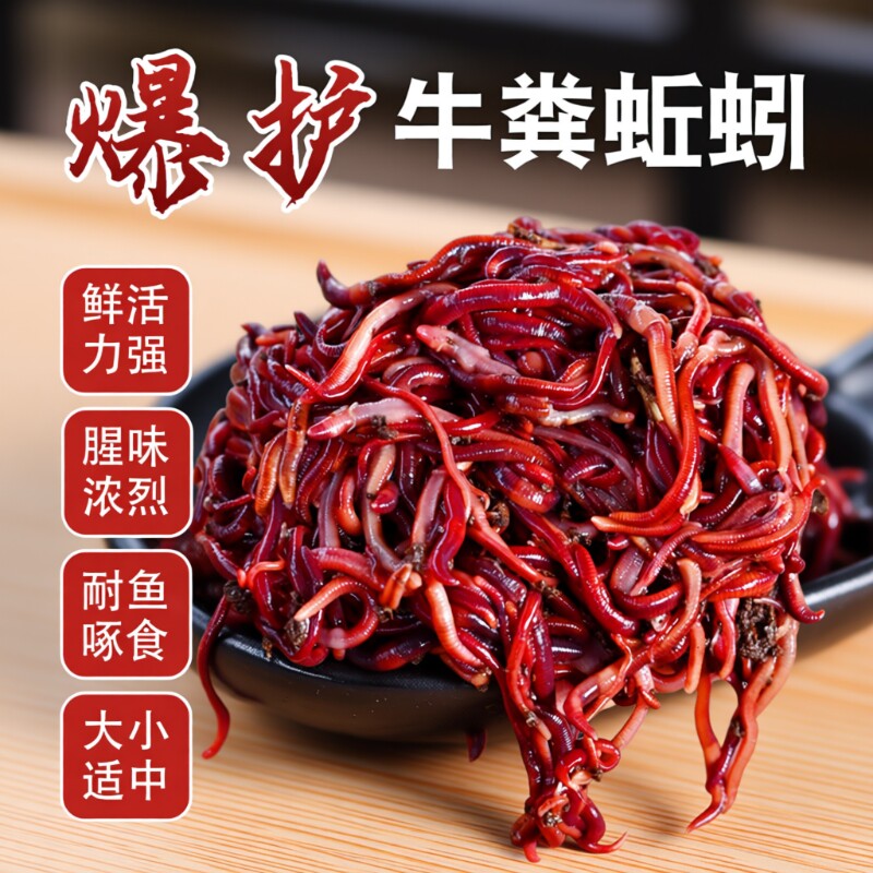 蚯蚓活饵鲜活红虫垂钓鱼饵料鲫鱼鲤鱼野钓黑坑鱼料打窝料鱼食通杀