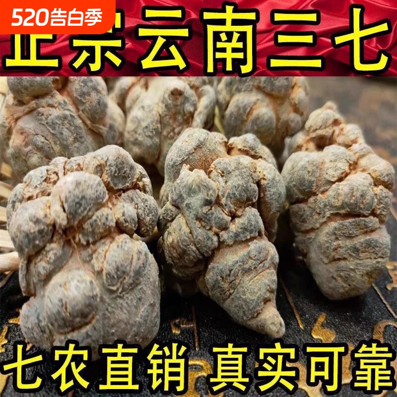 正品野生三七特级20头18头田七中药材云南文山纯三七粉官方旗舰店