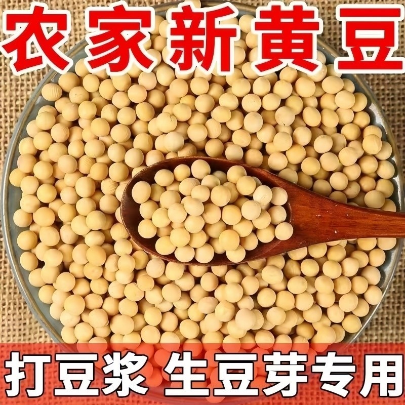 新黄豆农家五谷杂粮人工挑选老品种生豆芽打豆浆豆子粗粮新货新豆