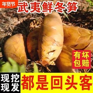 冬笋新鲜正宗福建野生高山黄泥毛笋尖火锅嫩笋农家蔬菜竹笋2/4斤
