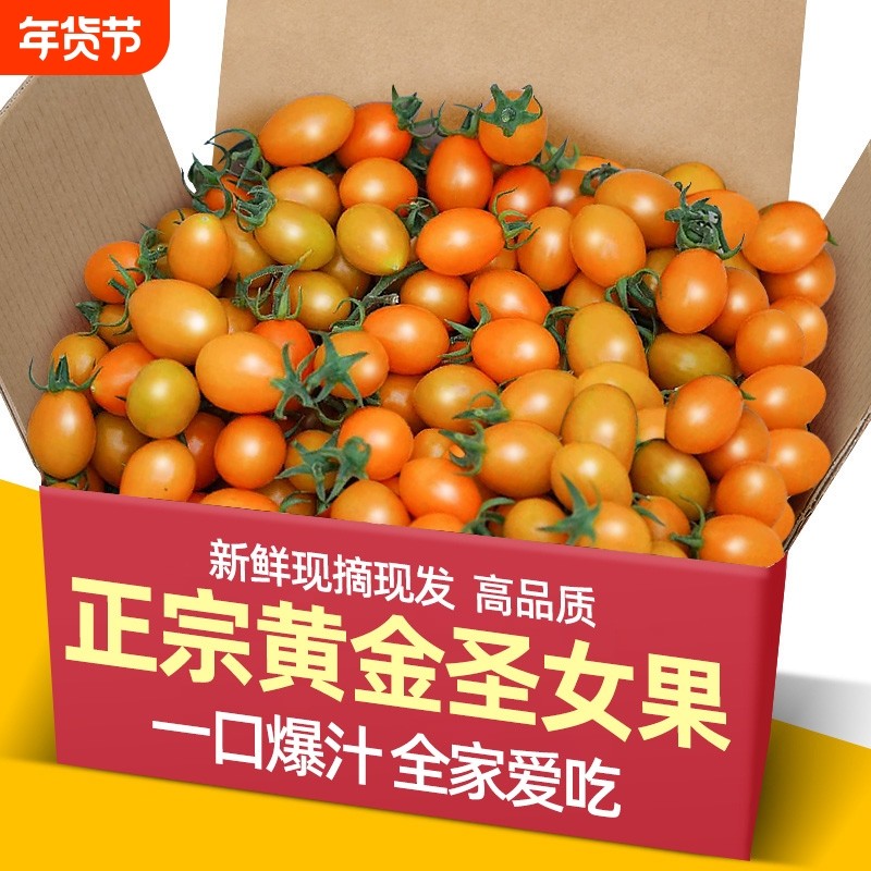 正宗黄金圣女果阳光樱桃千禧小番茄新鲜水果酸甜西红柿清甜爆汁