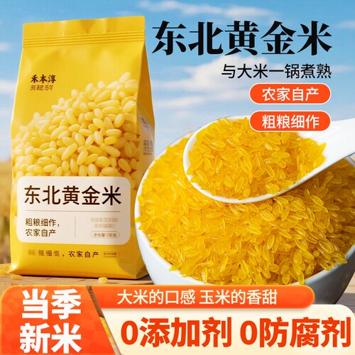 正宗东北黄金米新米粗粮糯玉米