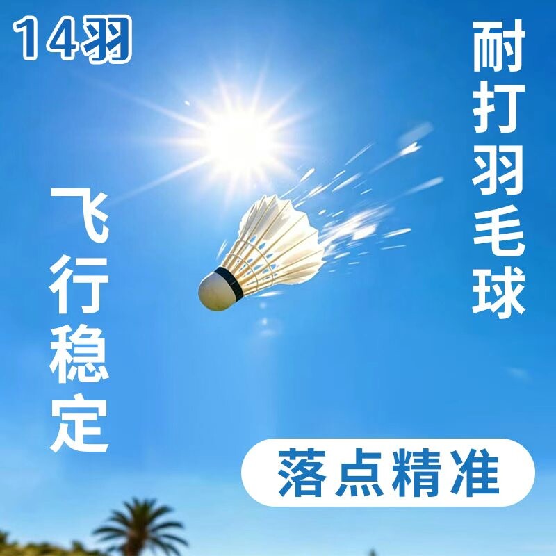 羽毛球正品耐打王室内室外训练用球6只装12只装防风稳定不易打烂