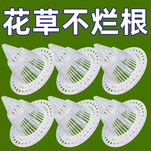 可移动耐用花盆垫片花盆垫底塑料网多肉根部透气防烂根网锥形神器