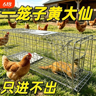 黄鹌狼驱赶神器只进不出救助笼子可折叠家用灭鼠抓逮防鸡笼围栏网
