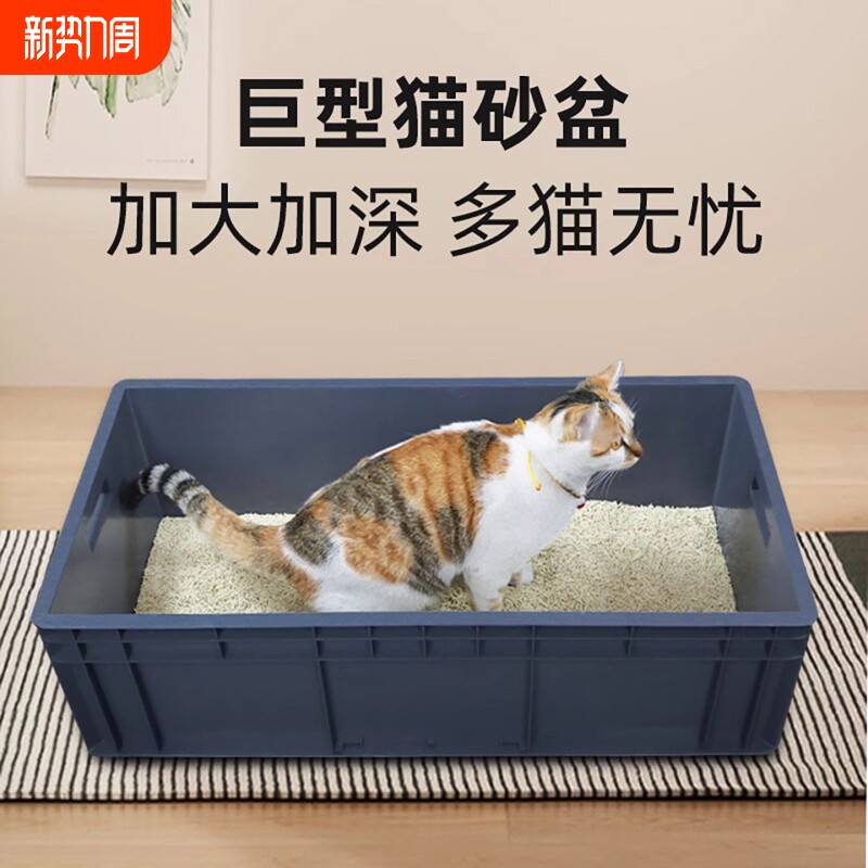 猫砂盆超大号80cm全开放式周转物流集装箱特大60斤巨大缅因猫厕