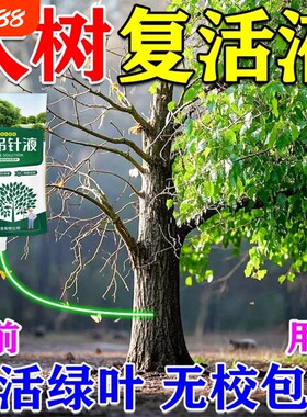 大树营养液吊针袋果树树木激活液桂花树强力生根药水植物复活液