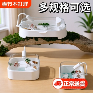 寄居蟹小型生态造景饲养缸养乌龟专用饲养箱排水过滤带晒台防逃逸