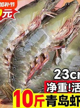 大虾鲜活特大号基围虾青岛海鲜生鲜冻虾水产王牌速冻冷冻新鲜白虾