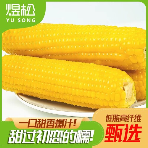 东北黄糯玉米粘苞米香糯玉米新鲜现摘真空锁鲜粗粮代餐香甜软糯