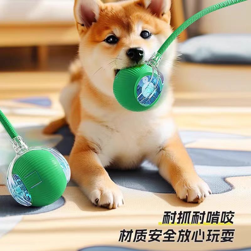 狗狗玩具自动遛狗球宠物小猫自嗨解闷耐咬电动智能逗狗跳跳球神器