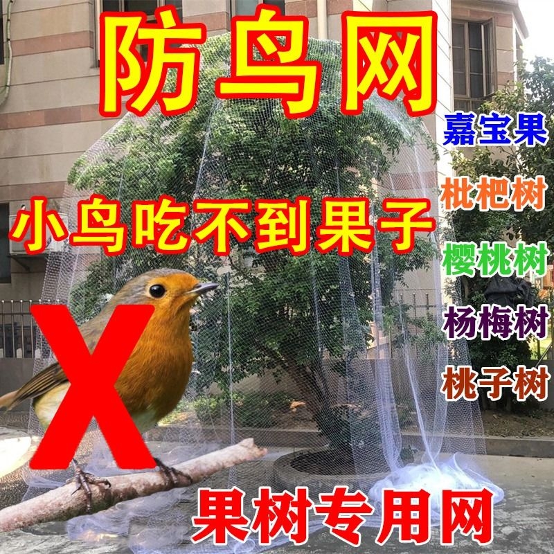 防鸟网果树果园大棚尼龙线防乌网阳台鱼塘樱桃树葡萄窗户用的天网