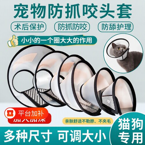 伊丽莎白圈防咬头套|千人加购