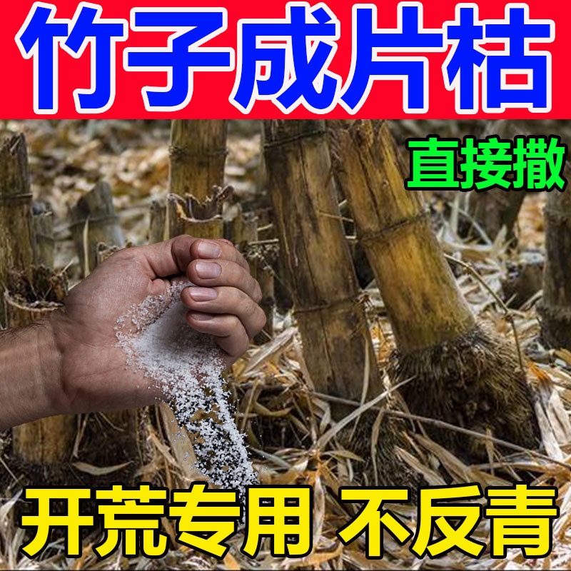 烂竹子的药竹根连根烂强力去竹粉