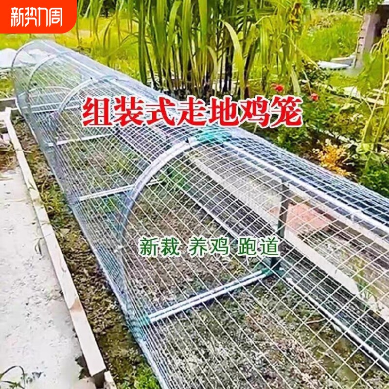 走地鸡笼子走地户外鸡笼跑道养鸡隧道笼子农场铁网溜达鸡笼子庭院