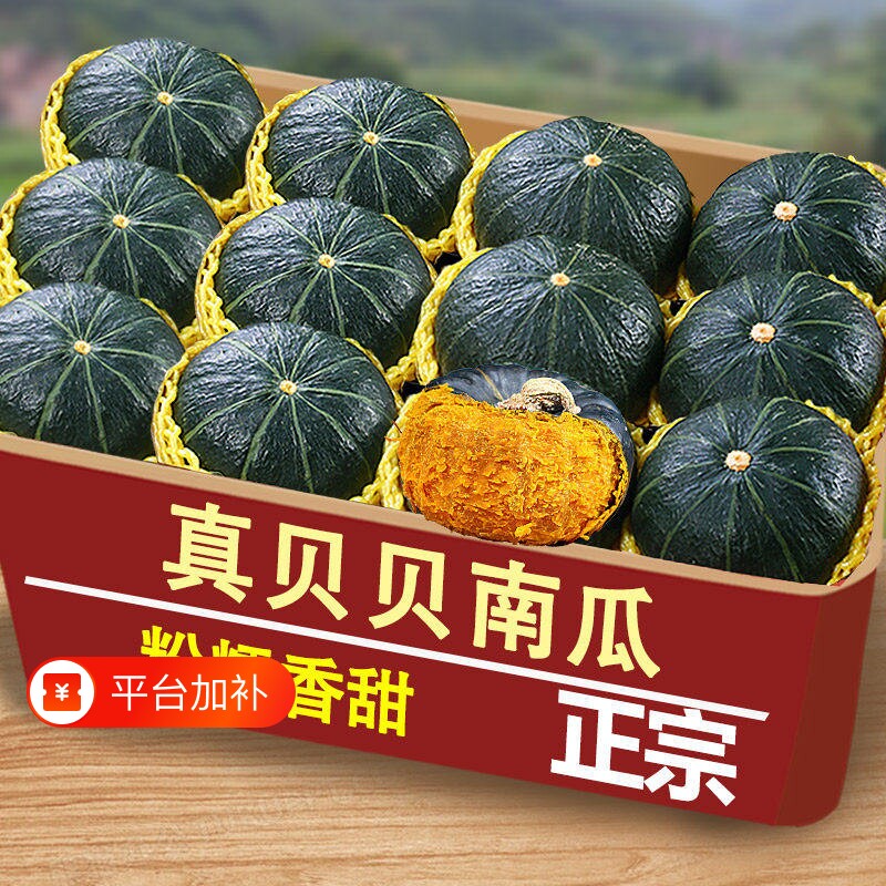 现摘贝贝南瓜板栗味正宗小南瓜新鲜3斤老瓜粉糯甜辅食香甜采摘