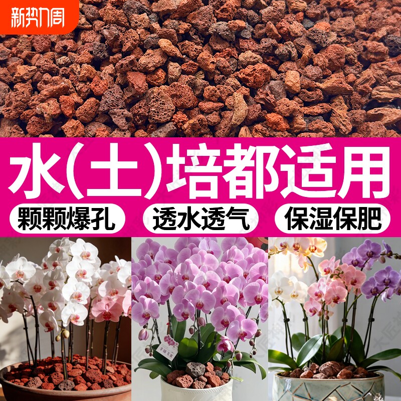 火山石小颗粒养花园艺蝴蝶兰花专用多肉铺面石水培植物鱼缸底砂石