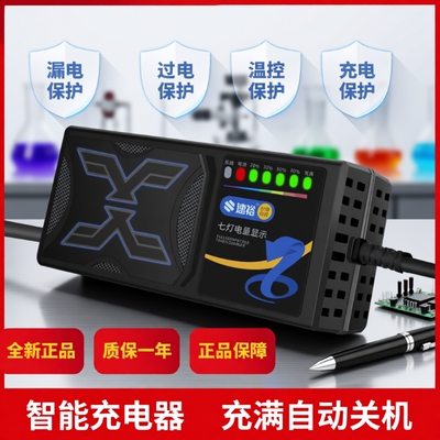 【次日达】全网热销电动车充电器