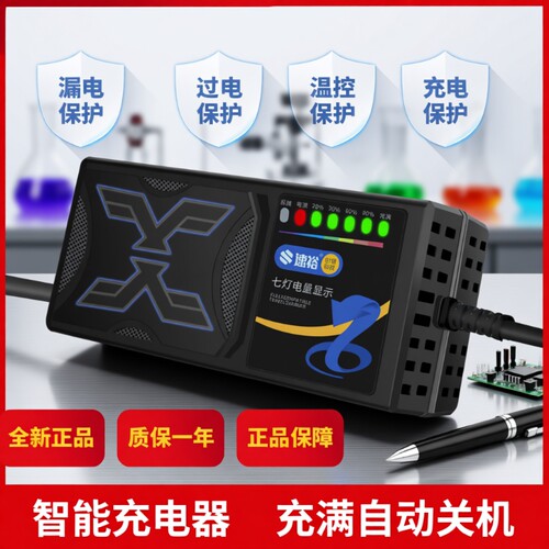 【次日达】全网热销电动车充电器