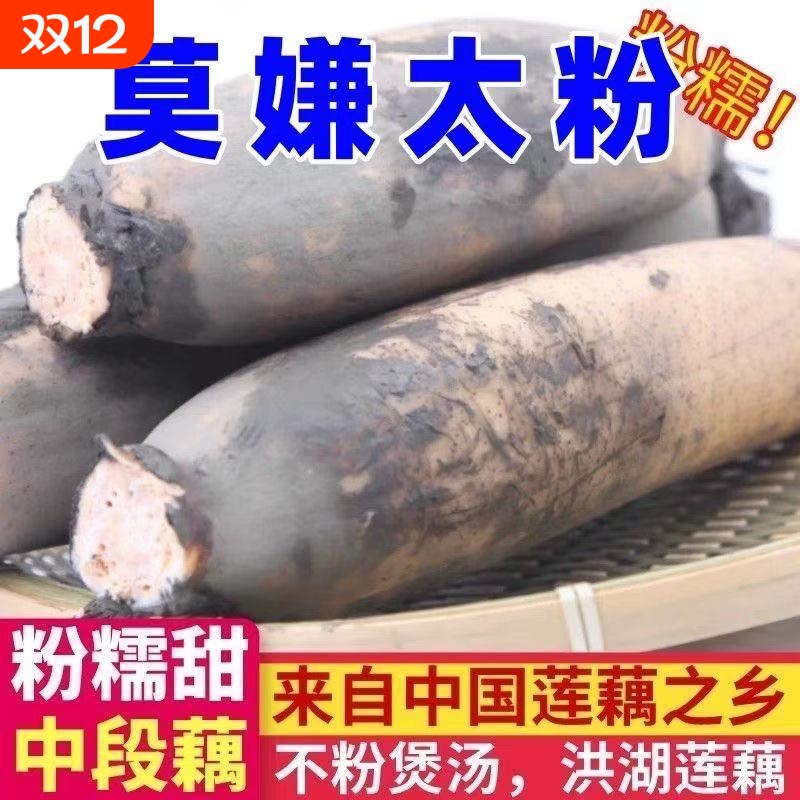 洪湖粉藕莲藕新鲜煲汤现挖糯米藕桂花藕农家特产糖藕九孔莲藕