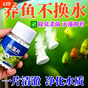 除藻剂鱼缸专用去苔剂鱼缸专用去绿水绿藻青苔清除剂丝藻克星神器
