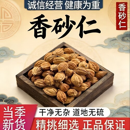 香砂仁四川川砂仁500g商用香料