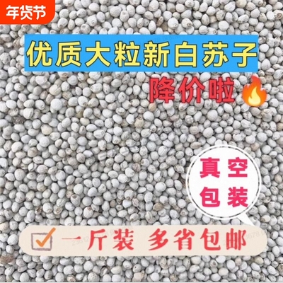 新白苏子紫苏子混合苏籽鸟粮鹦鹉