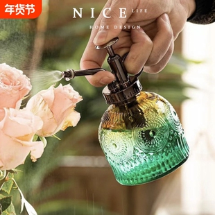 北欧复古透明彩色浮雕玻璃喷壶多肉养花洒水壶小型喷雾按压浇花壶
