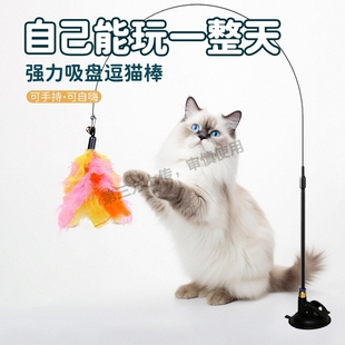 猫咪逗猫棒猫玩具质量好的小猫自嗨解闷神器长杆羽毛替换头吸盘款