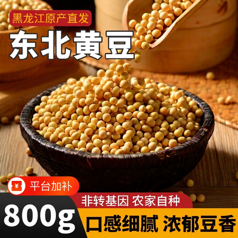 黄豆打豆浆专用三彩侬当季新豆东北农家自种非转基因大豆