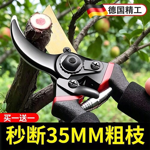 园艺剪刀修枝剪果树剪修树枝专用剪枝工具家用花艺园林修剪器省力