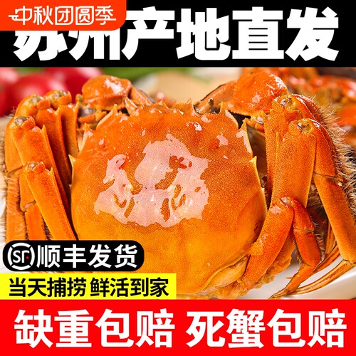 鲜活大闸蟹公3.5两|超2000次加购