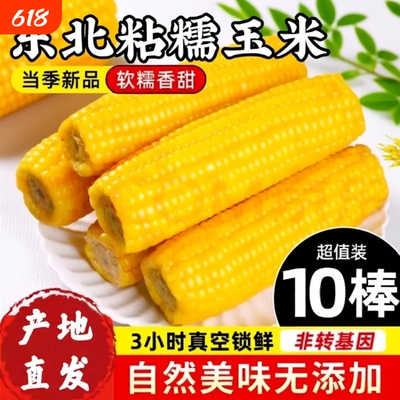 2026头茬东北黄糯玉米香甜黏糯粘新鲜非转基因孕妇加热即食10根装