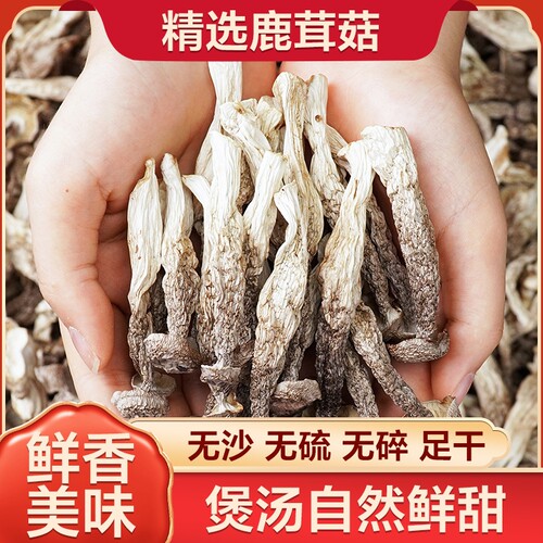 鹿茸菇足干新鲜脆脆菇