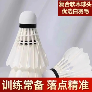 羽毛球鹅毛12只装耐打王白色黑色训练专业比赛防风耐打球夜光尼龙