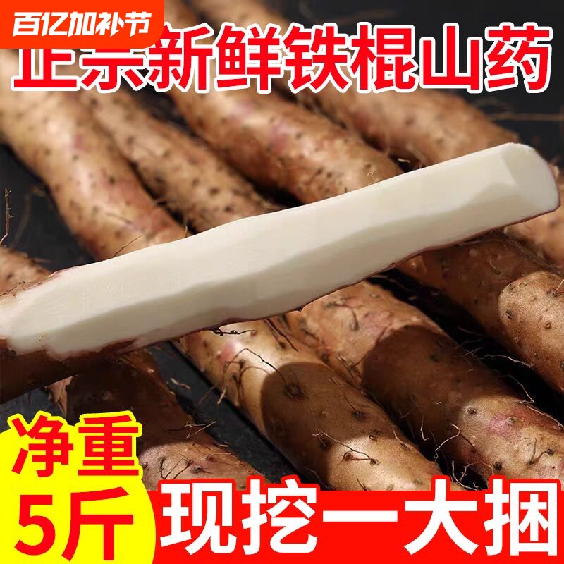 正宗河北铁棍山药粉糯香甜小白嘴垆土怀山药新鲜批发3/5斤山药豆