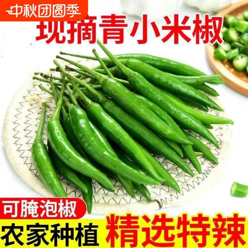 新鲜现摘小米辣青小米椒朝天椒农家自种绿色小米椒应季蔬菜批发