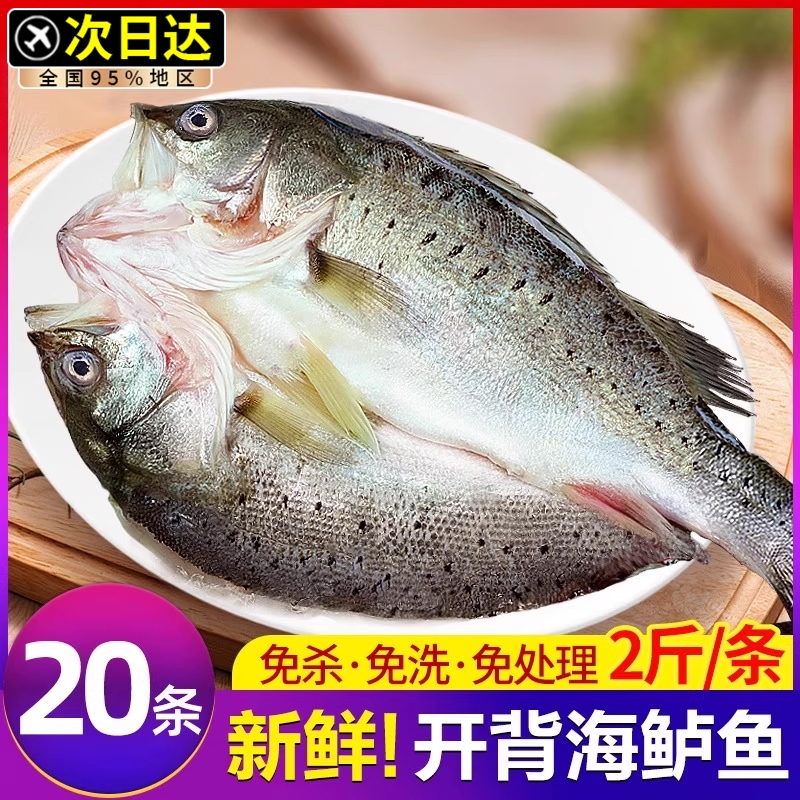 海鲈鱼开背新鲜冷冻鲜活深海
