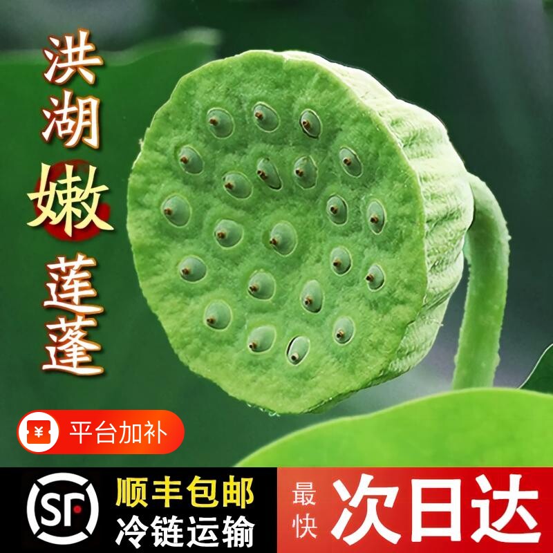 湖北洪湖莲蓬官方旗舰店新鲜生莲子水果零食孕妇当季现摘送礼特产