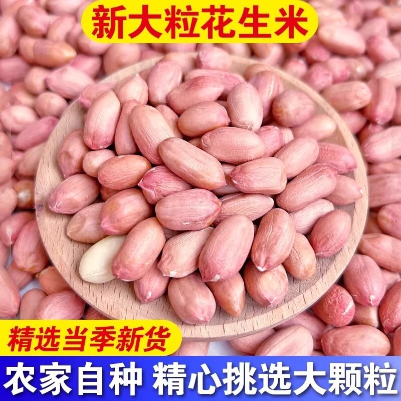 25年新鲜花生米特大颗粒生粉皮大粒优质健康散装袋装年货节新货