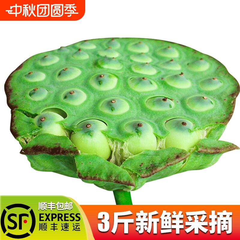 果心榴洪湖莲蓬鲜嫩吃零食