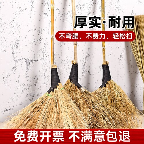 金丝草扫帚竹扫把观音草车间环卫