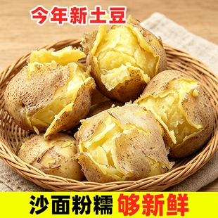 土豆定西甘肃沙面新鲜大个老品种洋芋马铃薯粉糯开花农家自种