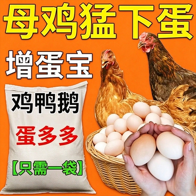 蛋多多鸡鸭鹅鹌鹑鸽子用增蛋宝催鸡下蛋多饲料催蛋产蛋王产蛋灵S