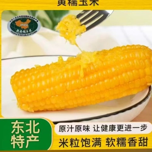 东北黄糯玉米香甜软糯真空锁鲜