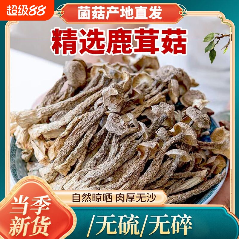 无干燥剂鹿茸菇干货鹿茸菌鹿耳菇批发菌菇蘑菇农家特产煲汤家用