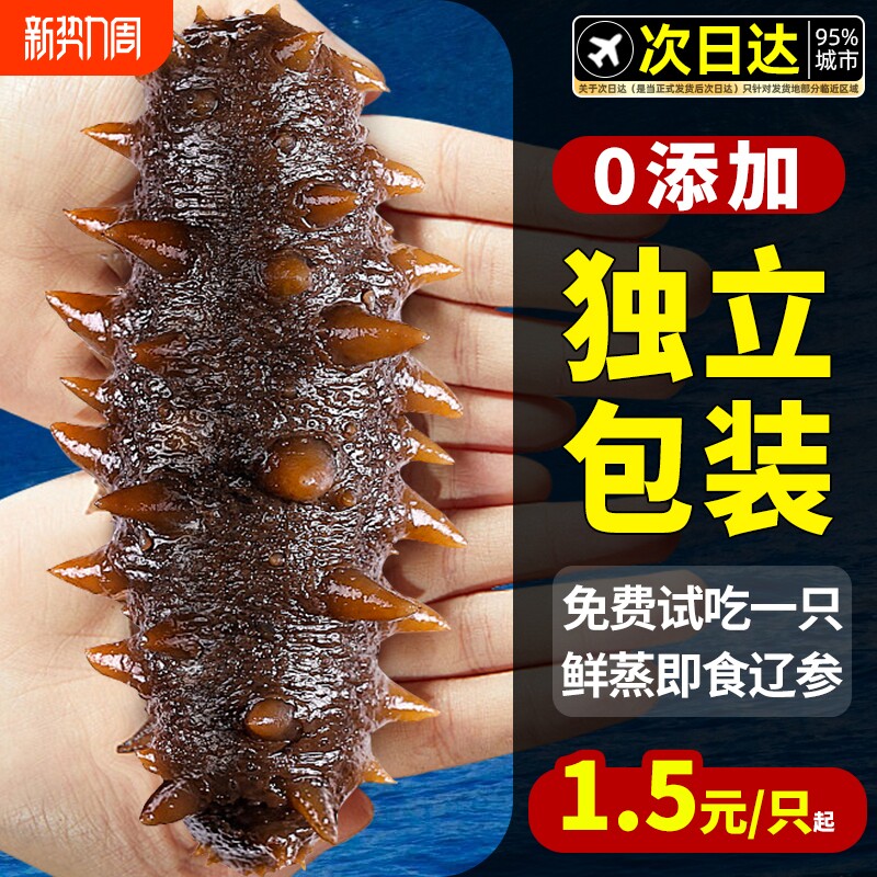 大连海参即食独立包装袋辽参刺参海渗鲜活淡干海鲜礼盒官方旗舰店